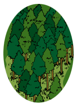 森林のイラスト